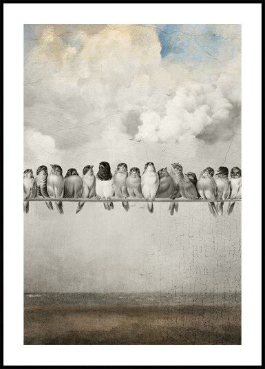 All the Pretty Birds Plakat Plakat / 100x150cm