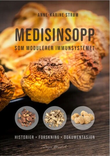 Medisinsopp Av Anne-Karine Strøm