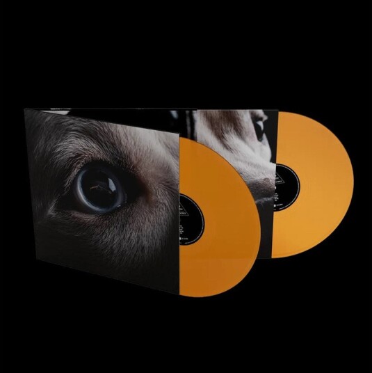 Roger Waters The Dark Side Of The Moon Uk Vinyl