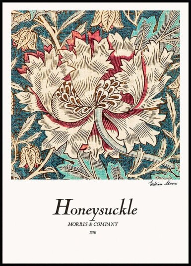 Honeysuckle Plakat / 50x70cm