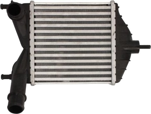 Intercooler THERMOTEC DAF014TT