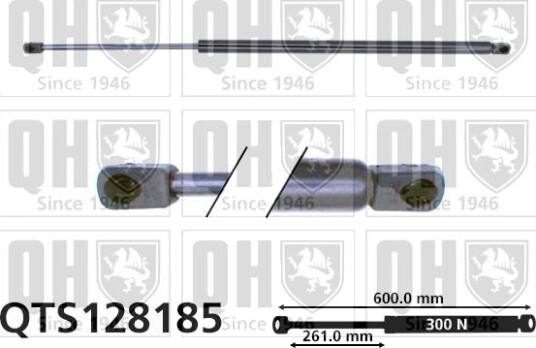 QUINTON HAZELL QTS128185 Baklukedemper
