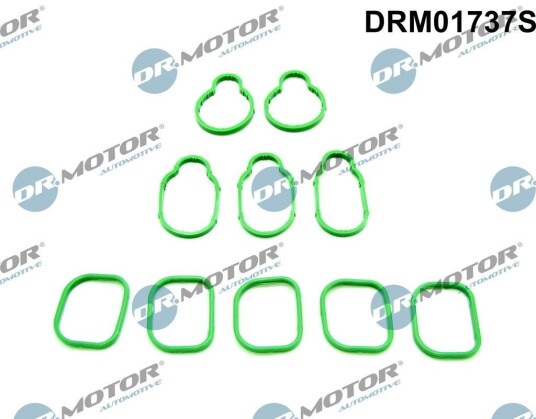 Pakkningssett innsugningsmanifold Dr.Motor Automotive DRM01737S