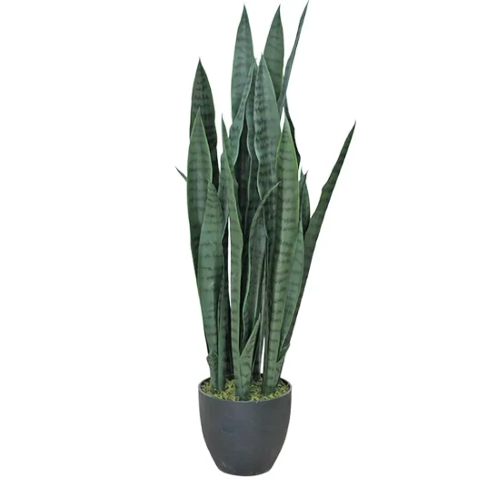 Mr Plant Sansevieria 85 cm Mr Plant Sansevieria 85 cm