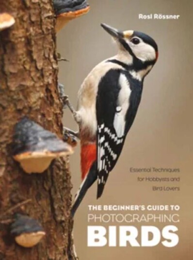 The Beginner'S Guide To Photographing Birds Av Rosl Roessner