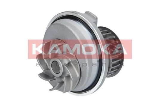 Vannpumpe KAMOKA T0229
