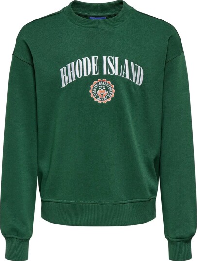 ONLY & SONS Osjcole College Rlx Ls Crew Neck Green 134 140