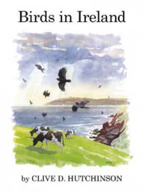 Birds in Ireland Birds in Ireland