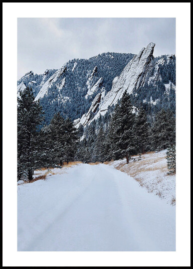 Frozen Flatiron Plakat Plakat / 30x40cm