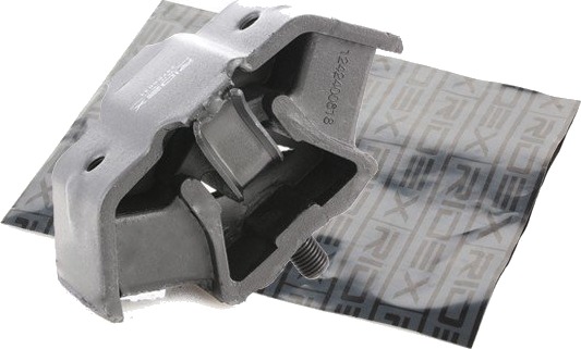 RIDEX 247E0031 Motorfeste