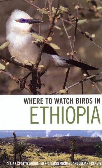Where to Watch Birds in Ethiopia Where to Watch Birds in Ethiopia