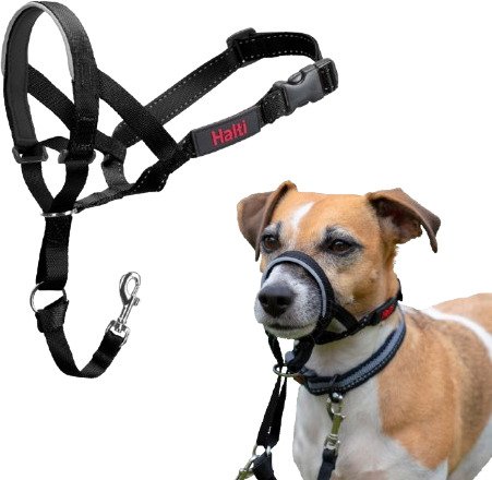 Noseband Nr. 0 Hals 29–36 cm