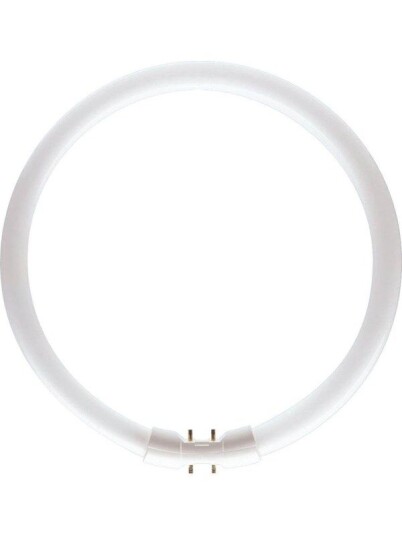 Philips Master tl5 circular 55w/830