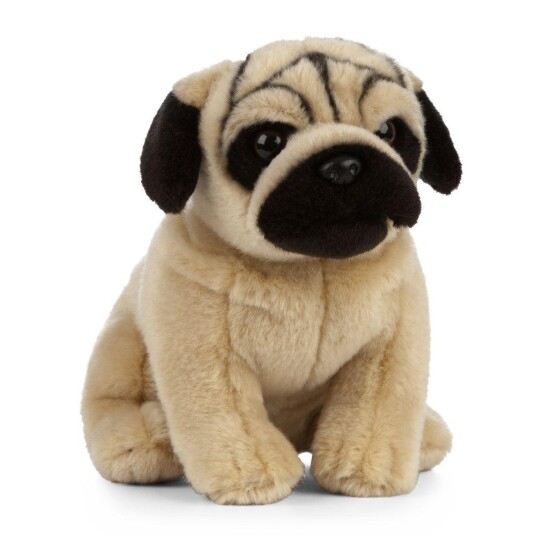 Hund Bamse Mops | Living Nature