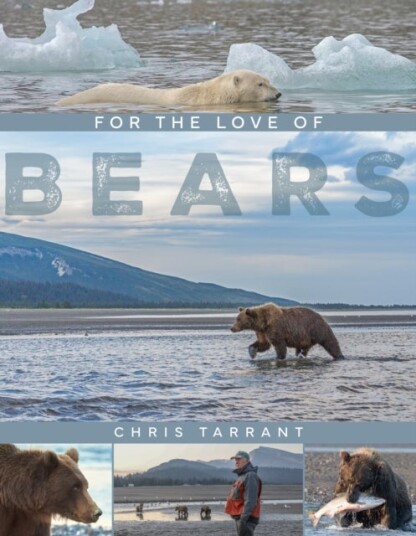 For The Love Of Bears For The Love Of Bears