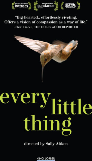 Every Little Thing 2024 DVD