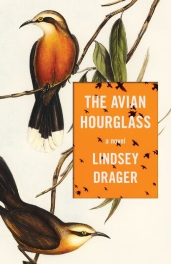 The Avian Hourglass The Avian Hourglass
