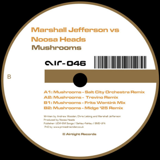 Mushrooms (2025 Remixes)