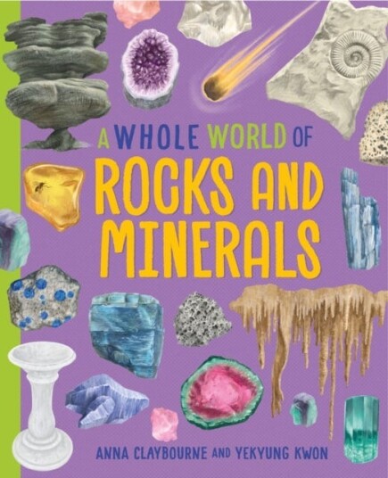 A Whole World of...: Rocks and Minerals A Whole World of...: Rocks and Minerals