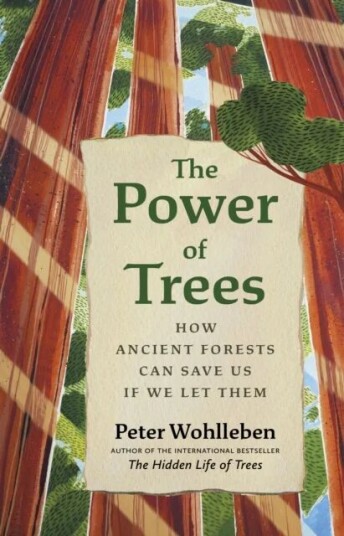 The Power of Trees av Peter Wohlleben