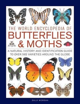 Butterflies & Moths, The World Encyclopedia Of Av Sally Morgan