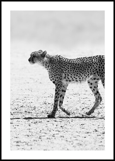 Silent Pursuit Plakat / 40x50cm