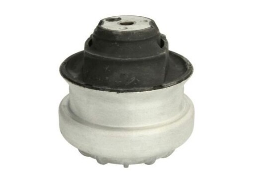 Motorfeste REINHOCH RH11-3003