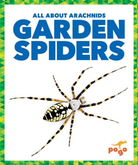 Garden Spiders Garden Spiders