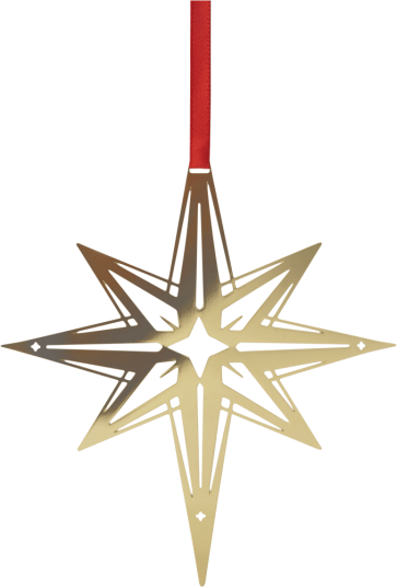 Pluto Design Northern Star L juleanheng Gull