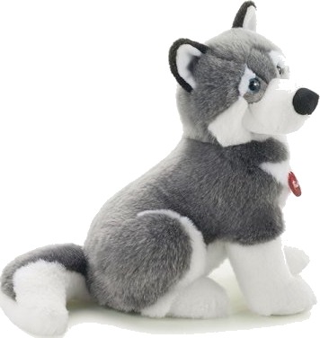 Trudi Husky Marcus L Leke Hund Trudi Husky Marcus L Leke Hund