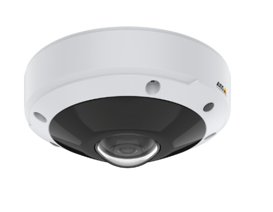 Axis M3077 Panoramisk Dome IP-sikkerhetskamera Utendørs med Høy Oppløsning