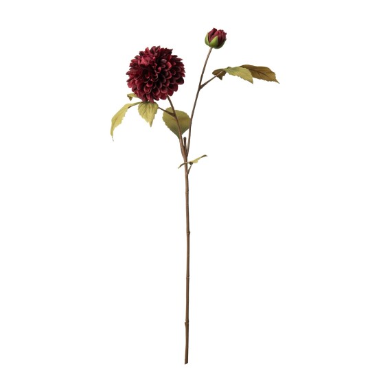 Standard produsent Stilkblomst Dahlia