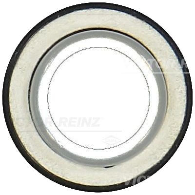 Simring, veivaksel REINZ 81-10559-00