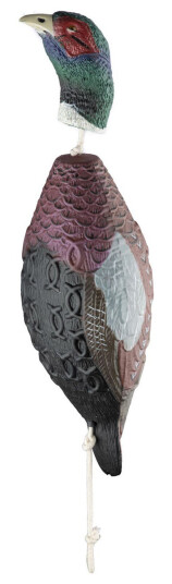 Hp&G Training Tool Pheasant
