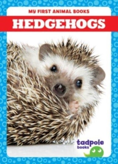 Hedgehogs Hedgehogs