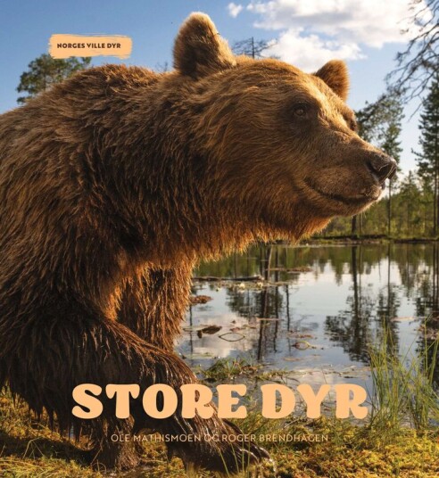 Store dyr Store dyr