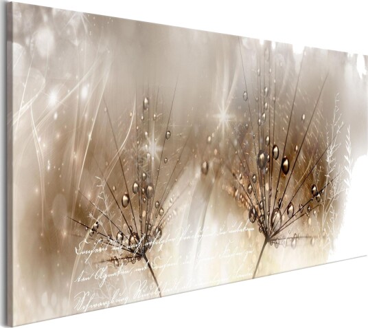 Bilde Drops Of Dew 1 Part Brown Narrow 150x50 Artgeist sp. z o. o.