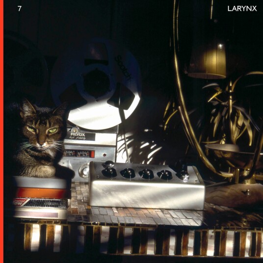 Lary 7 Larynx LP/Vinyl