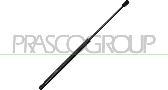 PRASCO SK3249055 Baklukedemper