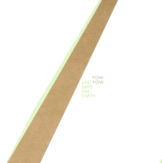 Pow Pow Last Days On Earth Vinyl