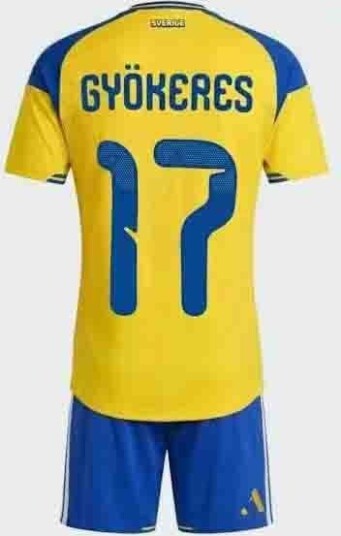 Sverige Fotballdrakt 2026 Hjemmedrakt Skjorte Shorts Sett Pustende Fotballuniform Treningsklær Fanversjon Gave*Nr. 17*XL