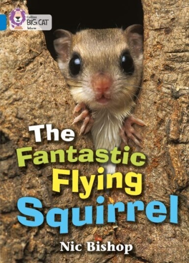 The Fantastic Flying Squirrel  Band 04/Blue