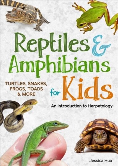 Reptiles & Amphibians for Kids Reptiles & Amphibians for Kids