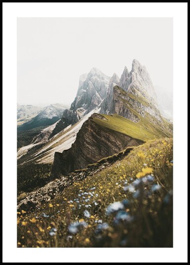 Alpine Blossoms and Peaks Plakat Plakat / 30x40cm