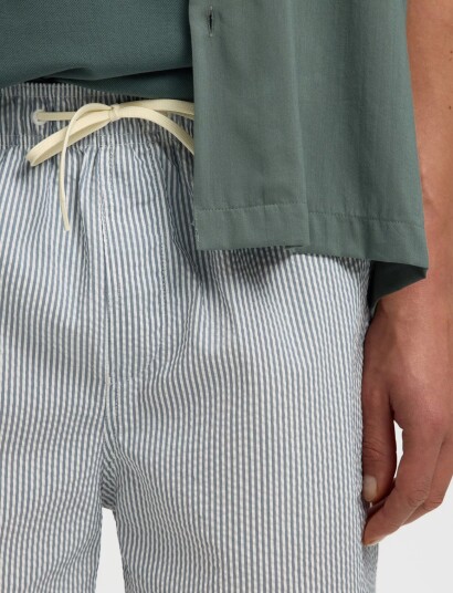 Selected Slhcooper Seersucker Swimshorts   Blue   XXL