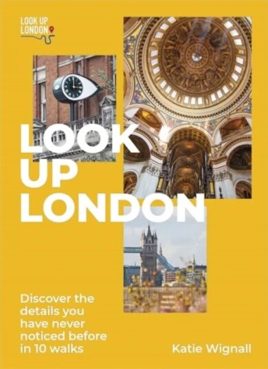 Look Up London Av Katie Blue Badge Qualification Wignall