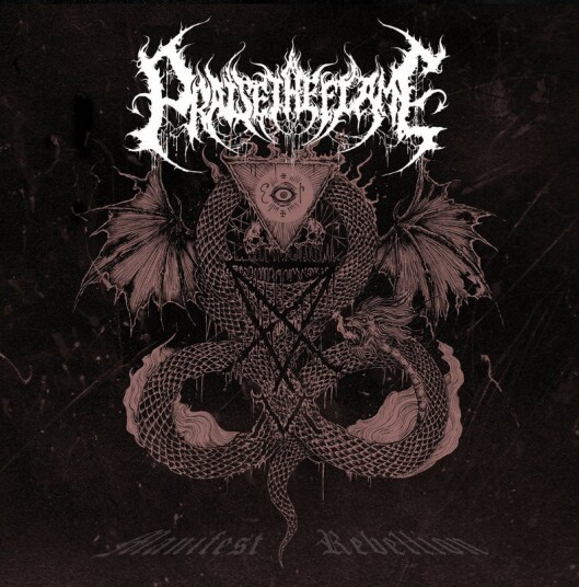 Praise The Flame Manifest Rebellion CD