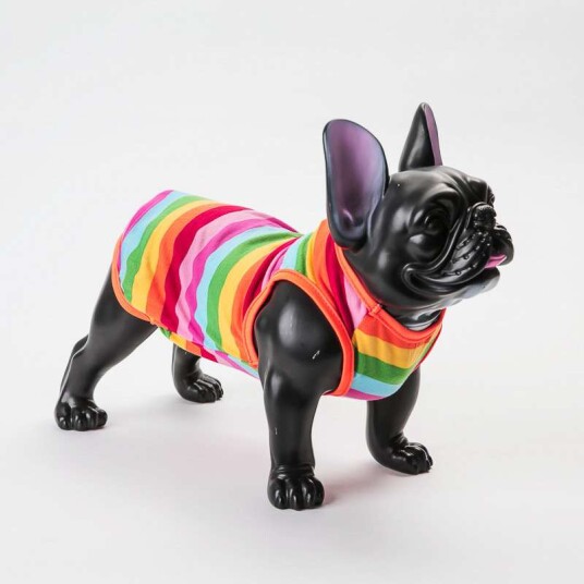 Rainbow Genser Singlet Til Hund Og Katt