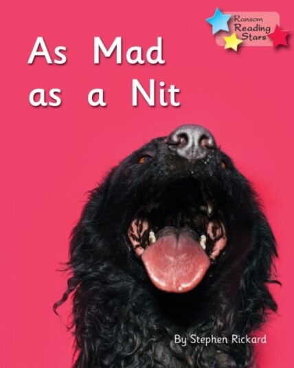 As Mad as a Nit Phonics Phase 2
