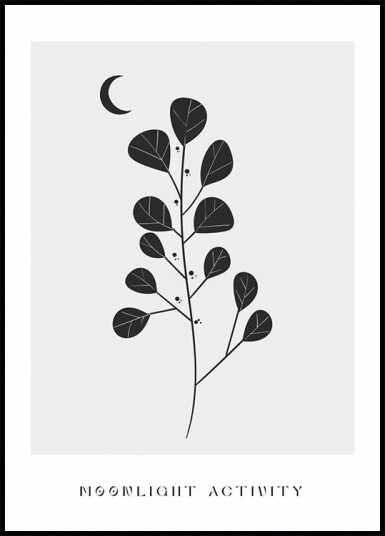 Moonlight Activity No. 3 Plakat Plakat / 40x50cm